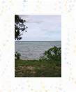 22-High Tide * 375 x 500 * (45KB)